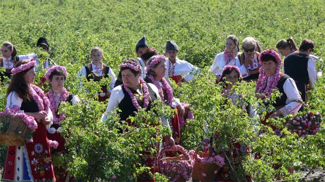 ROSE FESTIVAL Guaranted Departure - Travel To Bulgaria